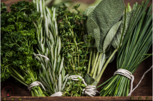 erbe aromatiche
