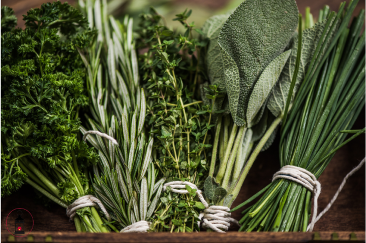 erbe aromatiche