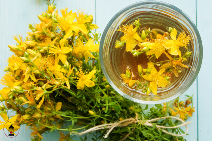 Fiori di Iperico
