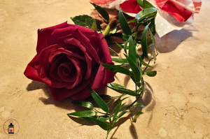 bocciolo di rosa